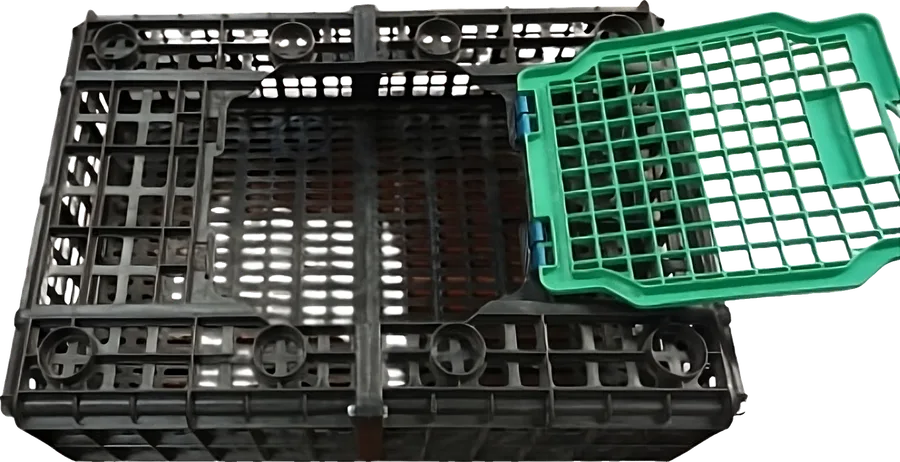 Guacal para Transporte de Aves