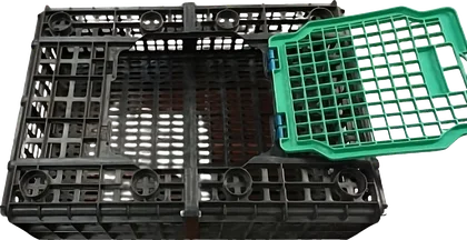 Guacal para Transporte de Aves